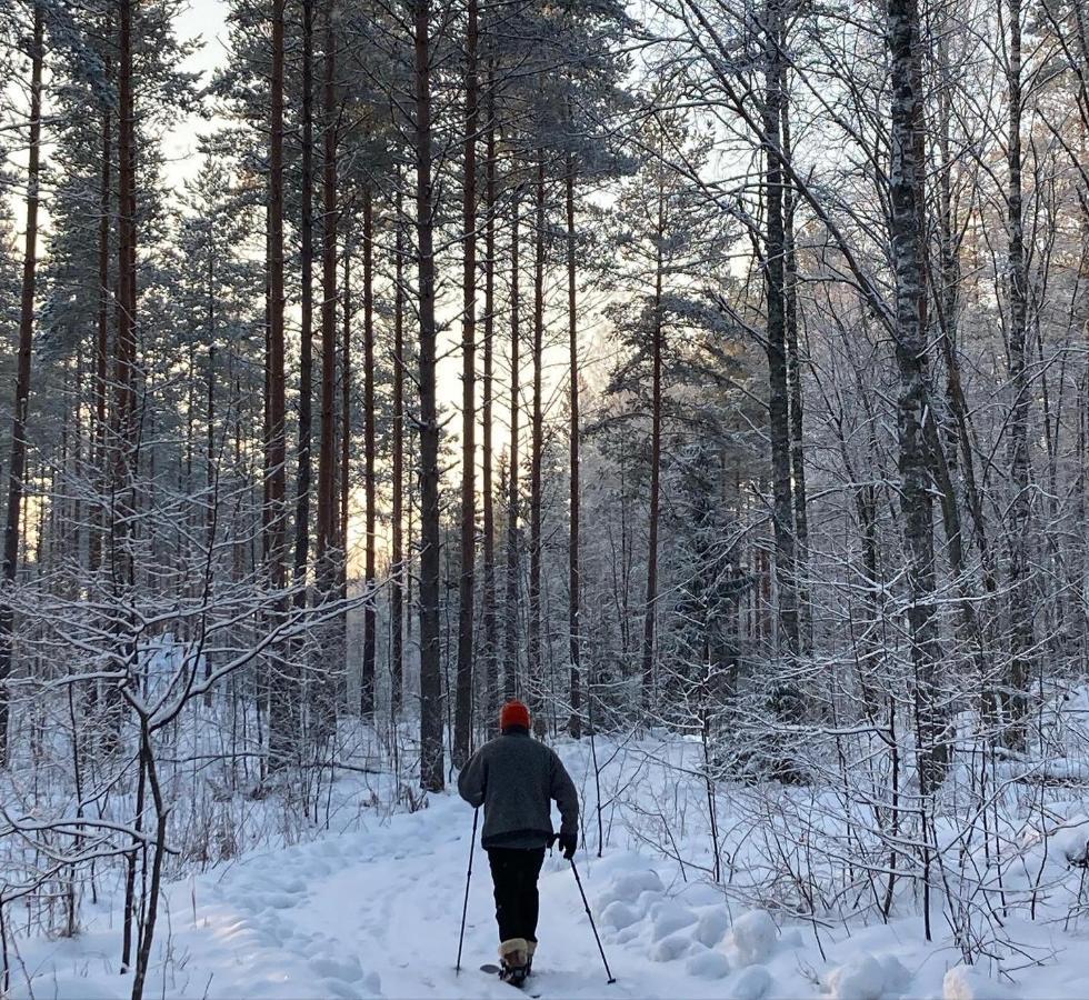 Linkkumylly Cottages Mäntyharju エクステリア 写真