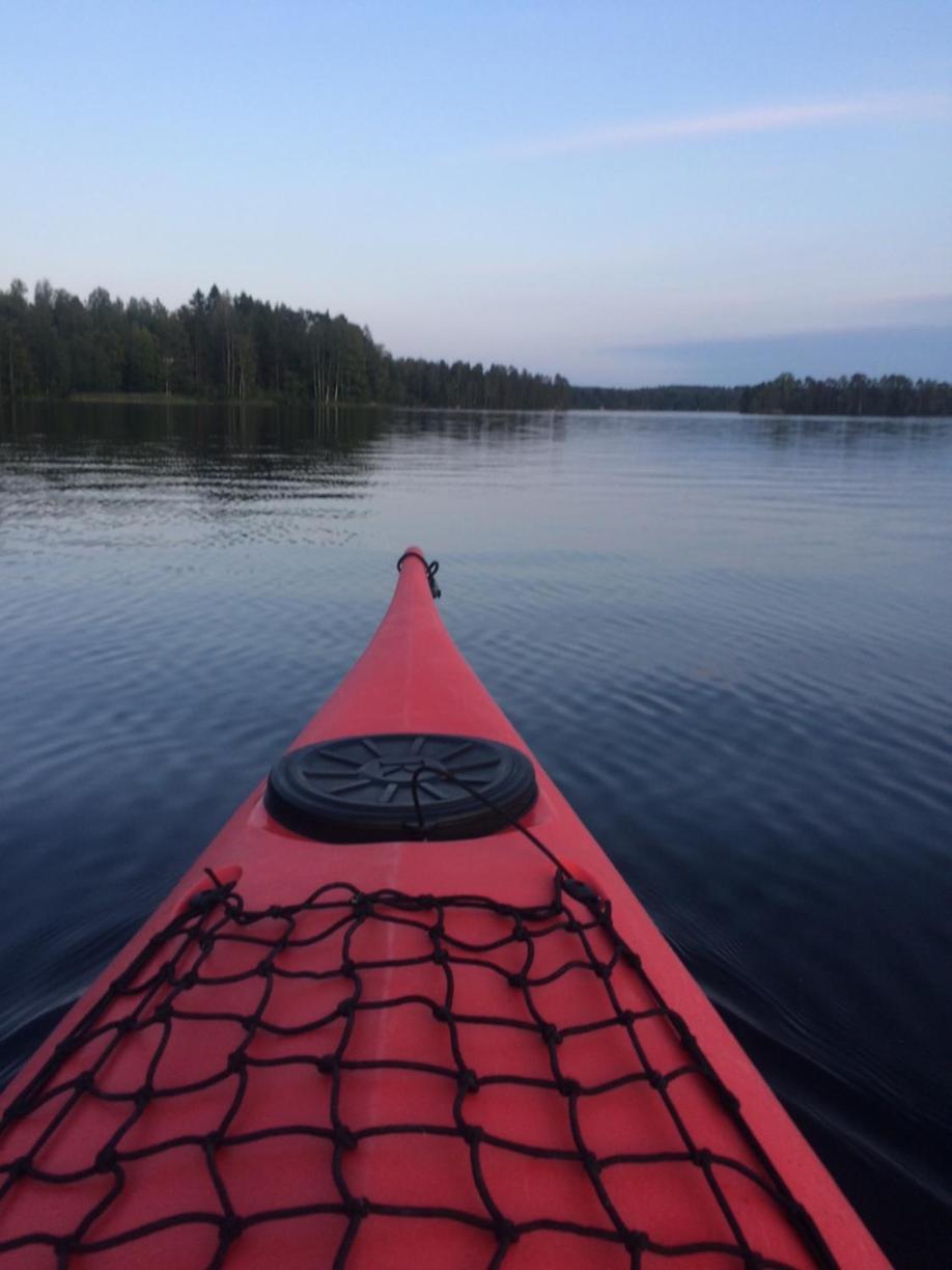 Linkkumylly Cottages Mäntyharju エクステリア 写真