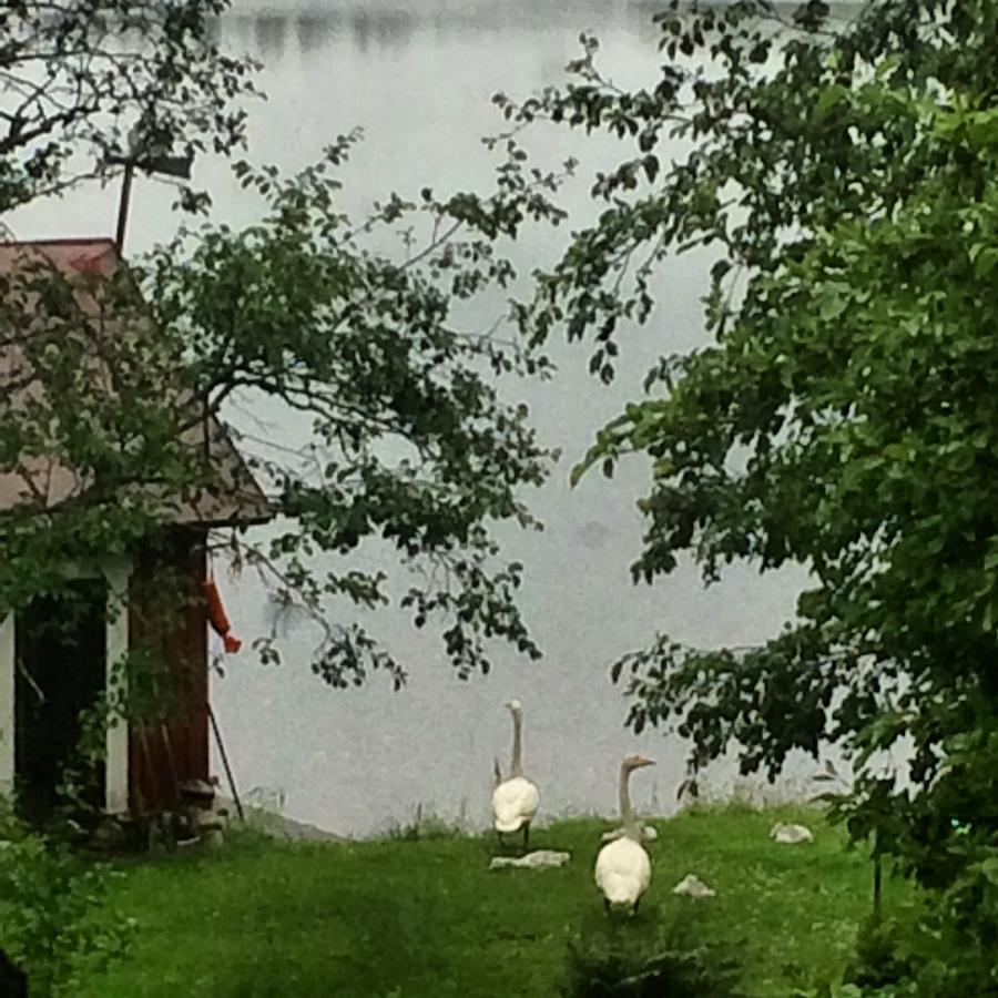 Linkkumylly Cottages Mäntyharju エクステリア 写真